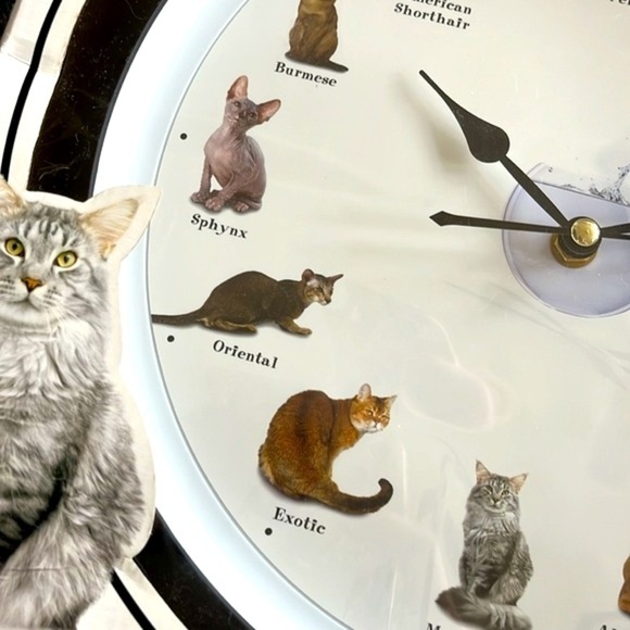 Brand New Meowing Cat Clock Real Cat Recordings Every Hour Popular Breeds Round - Picture 5 of 14